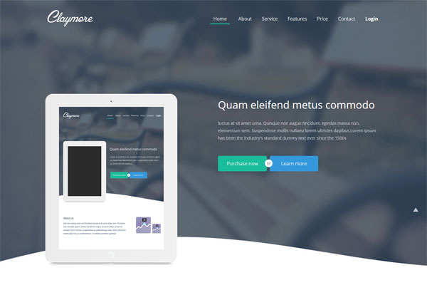 数据保护严格的cc攻击工具